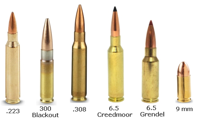 Dale's Photo Hosting Site - AR15 Platform